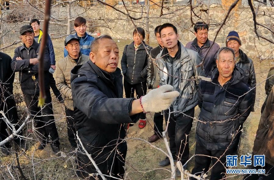 （新華全媒頭條·圖文互動）（8）鍛造領航復興的中流砥柱——寫在“不忘初心、牢記使命”主題教育即將啟動之際