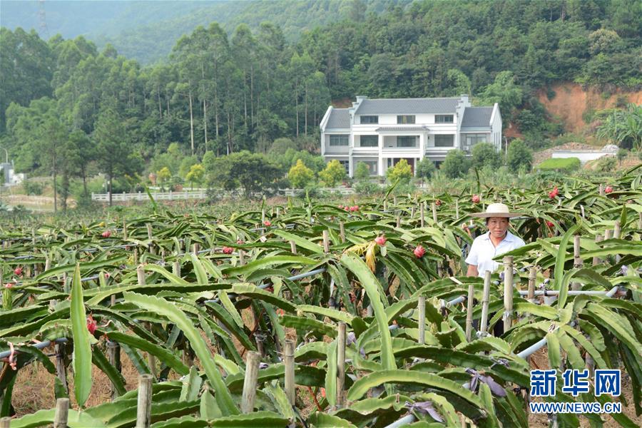 （在習近平新時代中國特色社會主義思想指引下——新時代新作為新篇章·總書記關心的百姓身邊事·圖文互動）（6）大污染變身“大寶藏”：治理畜禽糞污，他們這樣干！