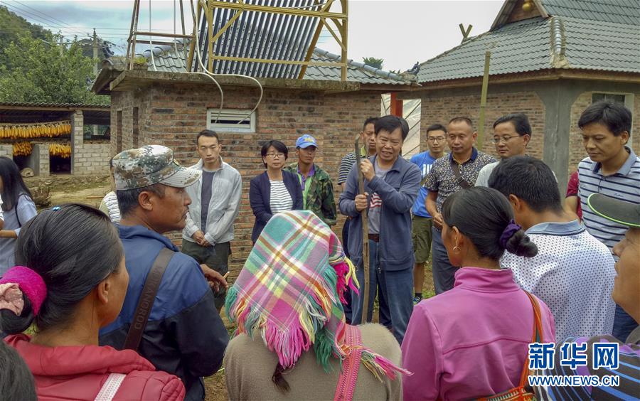 （新華全媒頭條·時代先鋒·圖文互動）（3）“要把論文寫在大地上”——記“農民院士”朱有勇