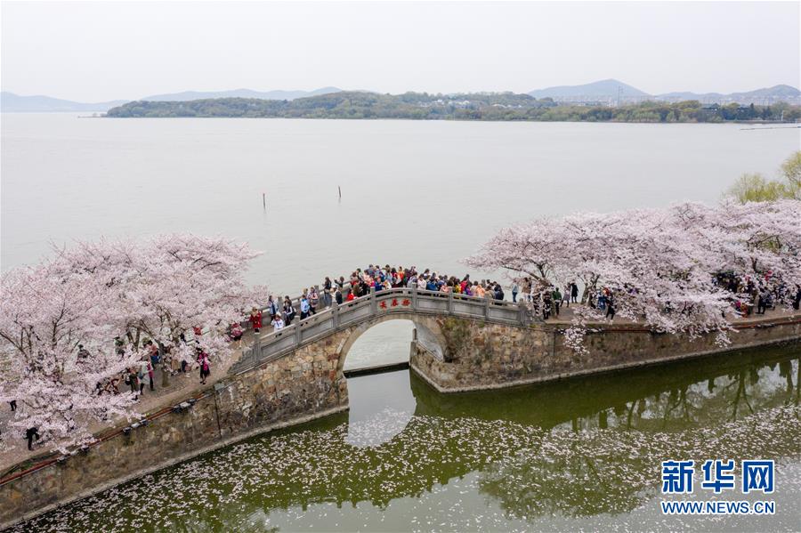 （新華全媒頭條·圖文互動(dòng)）（8）大湖見證——長(zhǎng)三角三大淡水湖綠色發(fā)展之路