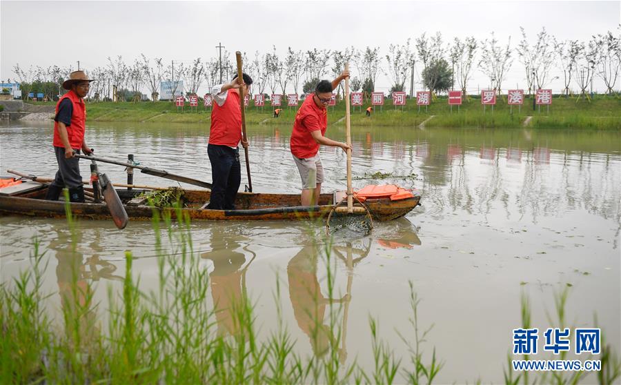 （新華全媒頭條·圖文互動(dòng)）（12）大湖見證——長(zhǎng)三角三大淡水湖綠色發(fā)展之路