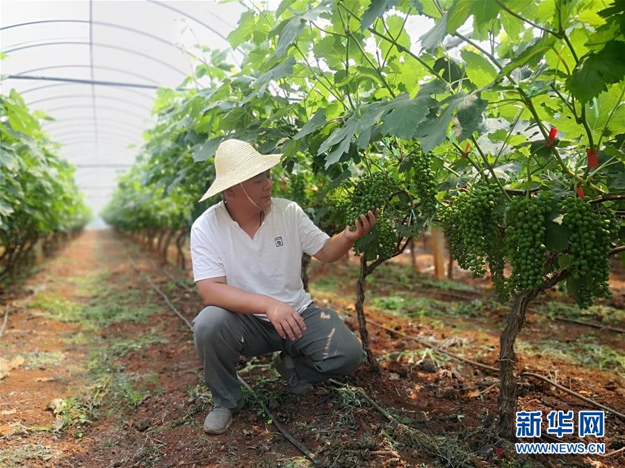 （新華全媒頭條·圖文互動(dòng)）（11）春色最濃在田間——來(lái)自全國(guó)春耕備耕的現(xiàn)場(chǎng)觀察