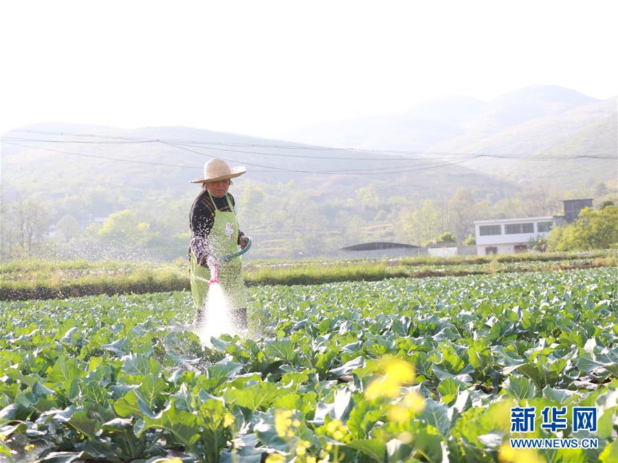 （決戰(zhàn)決勝脫貧攻堅(jiān)·圖文互動(dòng)）（3）逐項(xiàng)逐戶(hù)排查補(bǔ)齊脫貧攻堅(jiān)“短板”——貴州晴隆縣扶貧一線(xiàn)工作見(jiàn)聞 