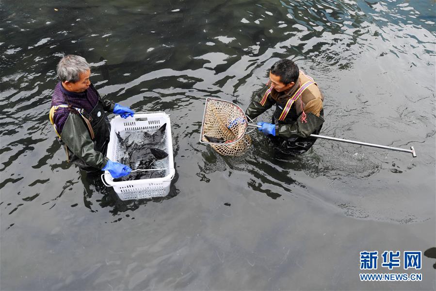 （決戰(zhàn)決勝脫貧攻堅·圖文互動）（6）多重保障 不漏一人——貴州一個脫貧“摘帽”縣的防貧機制探索