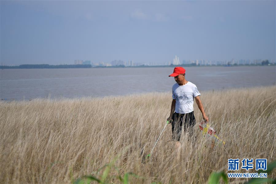 （新華全媒頭條·圖文互動(dòng)）（7）大湖新歌——我國(guó)兩大淡水湖全面生態(tài)修復(fù)進(jìn)行時(shí)