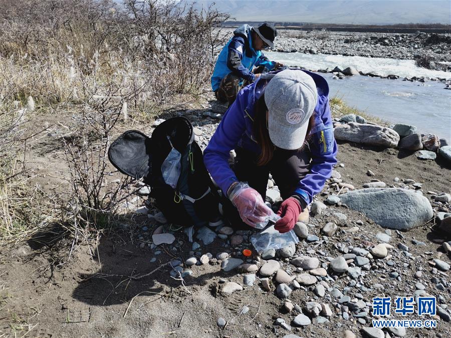 （圖文互動）（2）祁連山國家公園首個(gè)荒漠貓專項(xiàng)調(diào)查取得階段性成果