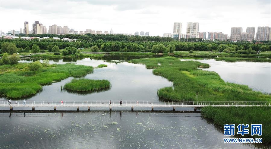 （走向我們的小康生活·圖文互動(dòng)）（1）水清、地綠、空氣新——最北省份黑龍江繪就生態(tài)治理新畫卷