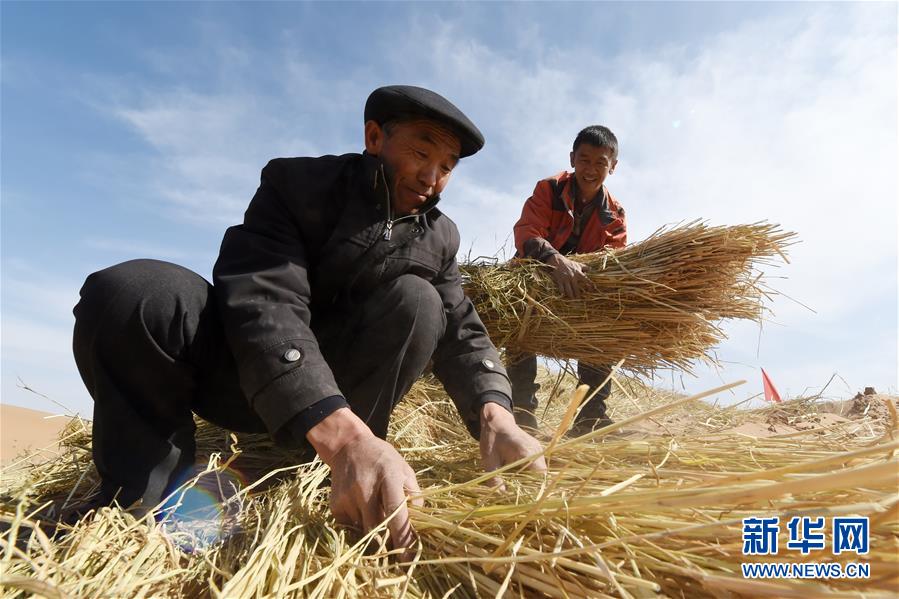 （在習近平新時代中國特色社會主義思想指引下——新時代新作為新篇章·習近平總書記關(guān)切事·圖文互動）（5）綠色映底蘊，山水見初心——生態(tài)優(yōu)先、綠色發(fā)展持續(xù)造福群眾美好生活