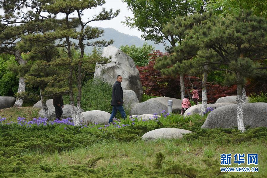 （新華視點·圖文互動）（1）警惕重金“移石造景”之風(fēng)：有的景觀石一塊逾百萬元