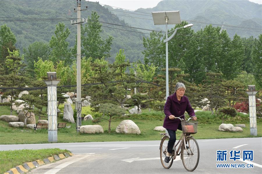 （新華視點·圖文互動）（5）警惕重金“移石造景”之風(fēng)：有的景觀石一塊逾百萬元