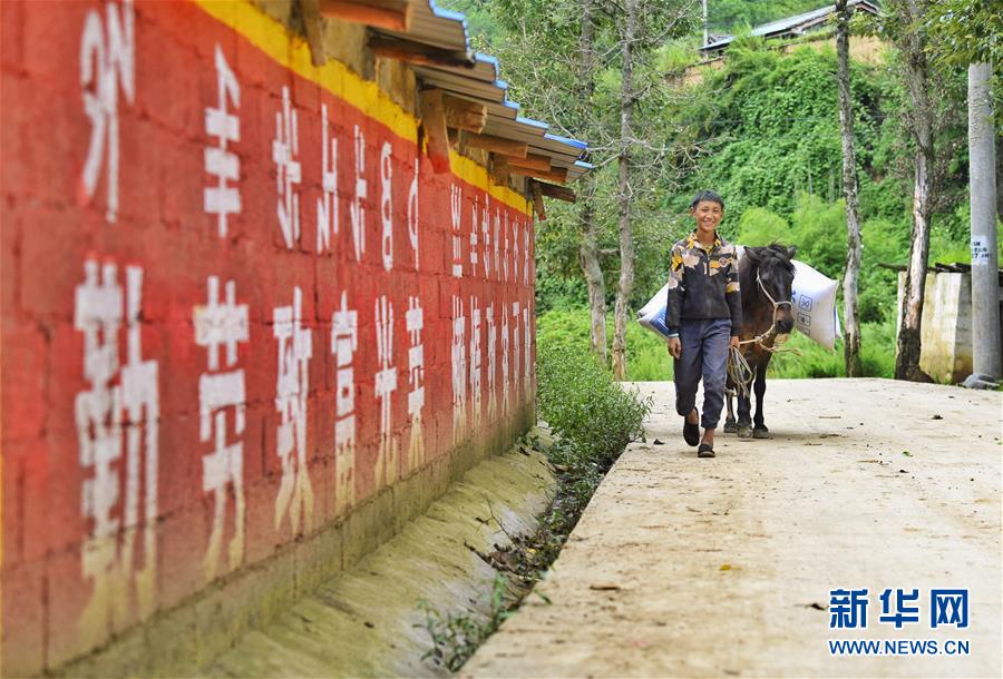 （新華全媒頭條·決戰(zhàn)決勝脫貧攻堅(jiān)·督戰(zhàn)未摘帽貧困縣·圖文互動(dòng)）（6）苦蕎花開(kāi)大涼山——四川7個(gè)未摘帽縣脫貧攻堅(jiān)一線觀察