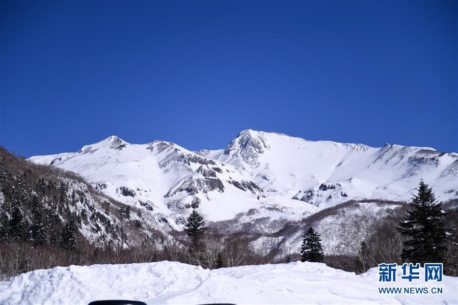 （圖文互動(dòng)）（6）長(zhǎng)白山60年書(shū)寫(xiě)“生態(tài)答卷”