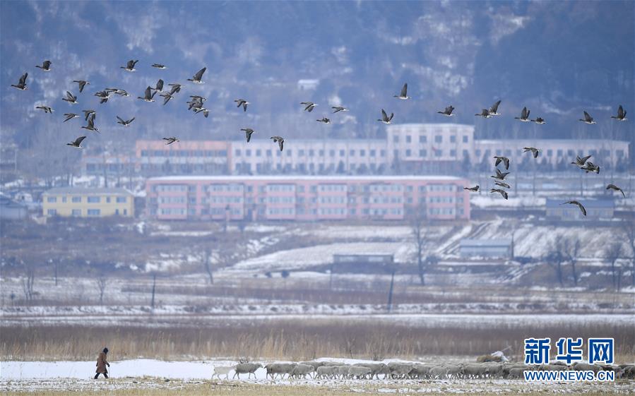 （新華全媒頭條·走向我們的小康生活·圖文互動）（14）黑土地上是我家——在吉林，一瞥中國東北鄉(xiāng)村美麗未來