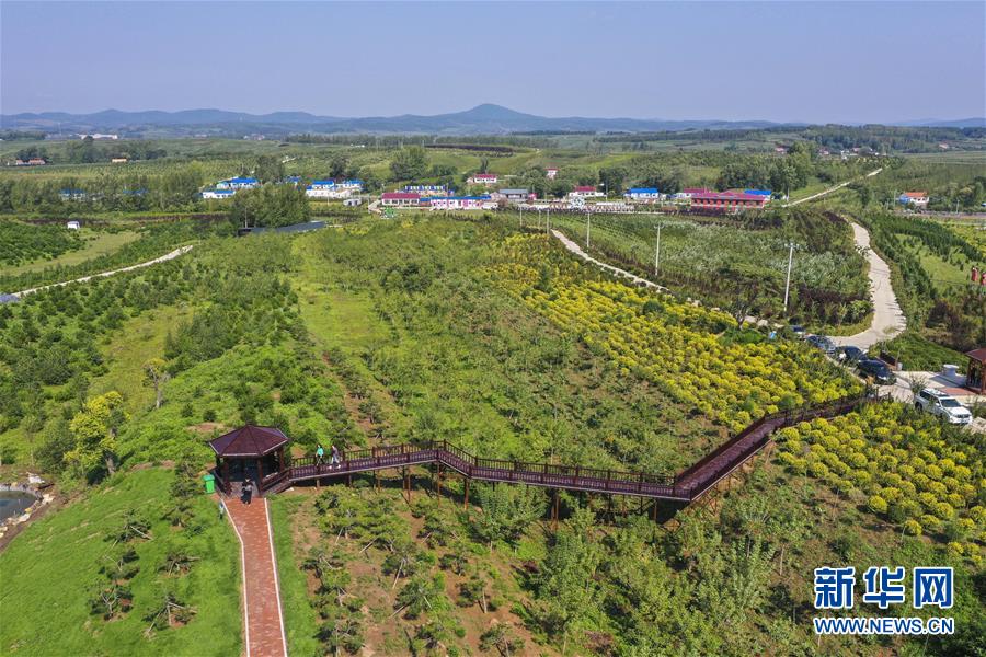 （新華全媒頭條·走向我們的小康生活·圖文互動）（16）黑土地上是我家——在吉林，一瞥中國東北鄉(xiāng)村美麗未來