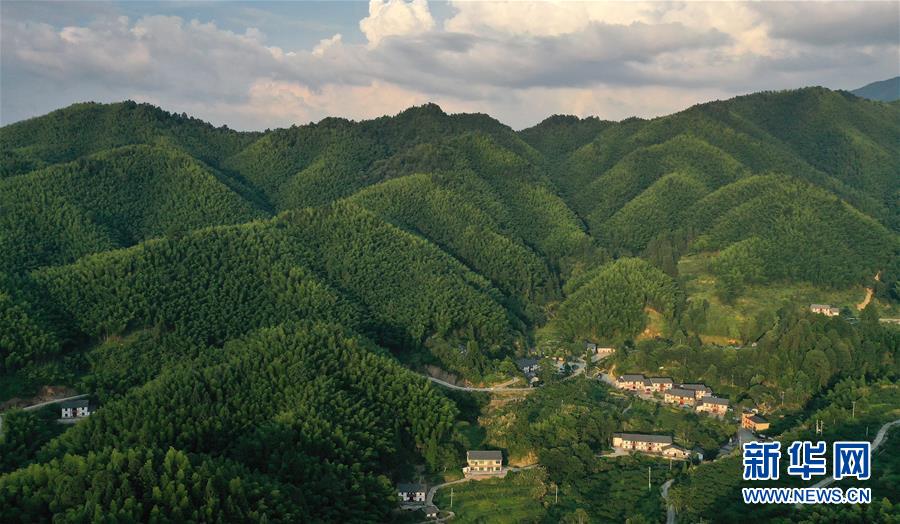 （新華全媒頭條·走向我們的小康生活·圖文互動(dòng)）（2）神山村“神奇”何在？——井岡山深處覓答案