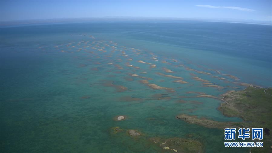 （新華全媒頭條·圖文互動）（5）大湖見證 ——持續(xù)保護(hù)讓青海湖生態(tài)華麗“蝶變”