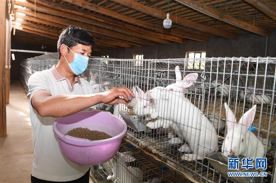 （新華全媒頭條·圖文互動）（14）新天地 新兒女 新奇跡——脫貧攻堅繪就新疆新圖景