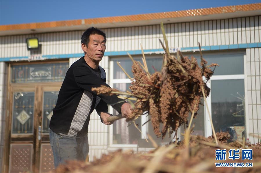 （全面建成小康社會“百城千縣萬村”調研行·圖文互動）（1）互助互利，小甘薯帶來甜蜜日子——內蒙古奈曼旗互利村闖出產業(yè)致富之路