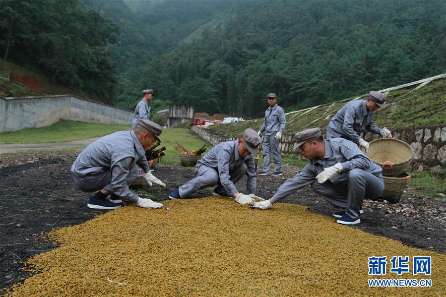 （在習(xí)近平強(qiáng)軍思想指引下·我們在戰(zhàn)位報告·圖文互動）（3）牢記統(tǒng)帥囑托  做刀尖上的舞者——記聯(lián)勤保障部隊某報廢武器彈藥銷毀站參謀長陳雪禮