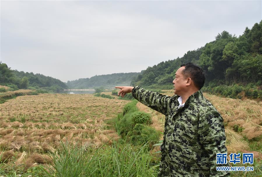 （代表委員履職·圖文互動）（2）“我是農(nóng)民代表，始終關注農(nóng)村”——全國人大代表沈昌健的履職故事