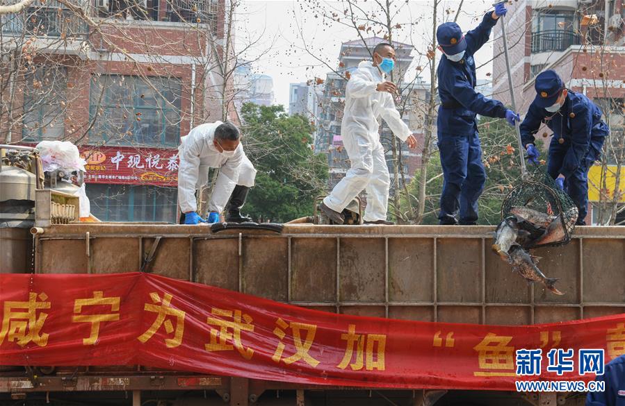 （新華全媒頭條·圖文互動）（12）從人民中汲取磅礴力量——習近平總書記同出席2020年全國兩會人大代表、政協(xié)委員共商國是紀實