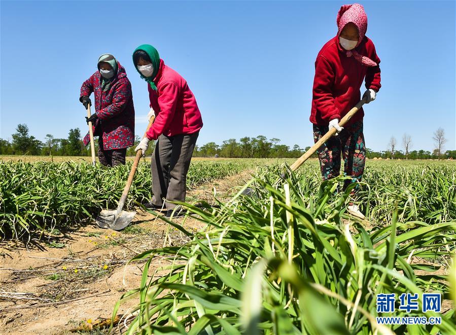 （新華全媒頭條·圖文互動）（17）從人民中汲取磅礴力量——習近平總書記同出席2020年全國兩會人大代表、政協(xié)委員共商國是紀實