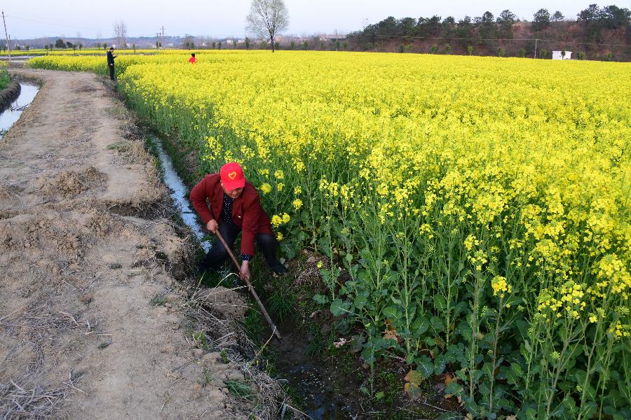 貧困戶老楊的人生“三級跳”