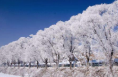 全國初雪時(shí)間表出爐 看看你離初雪還有多遠(yuǎn)？