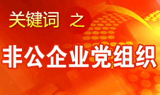 王京清：非公企業(yè)建立黨組織服務(wù)企業(yè)發(fā)展、服務(wù)員工