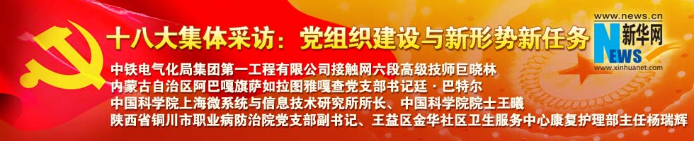 十八大集體采訪:黨組織建設(shè)與新形勢新任務(wù)