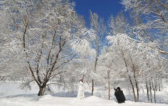 沈陽(yáng)雪后天晴景色美麗吸引民眾觀賞拍照